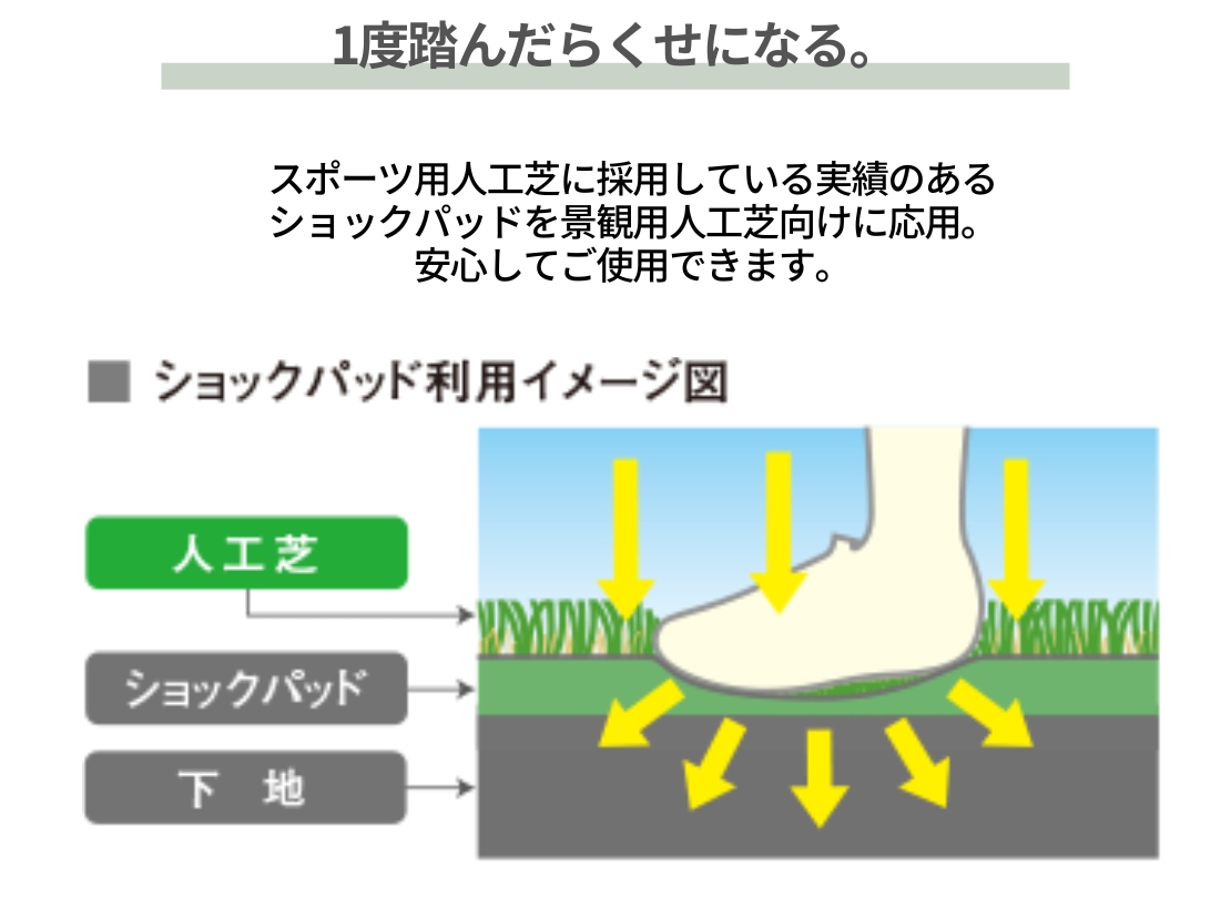 PAEグローバル ショックパッド 一度踏んだらクセになる