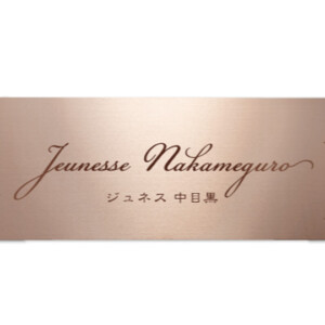 福彫 館銘板・商業サイン ドライエッチング ステンレスロゼ板ドライエッチング館銘板 SZ-23 使用アイキャッチ
